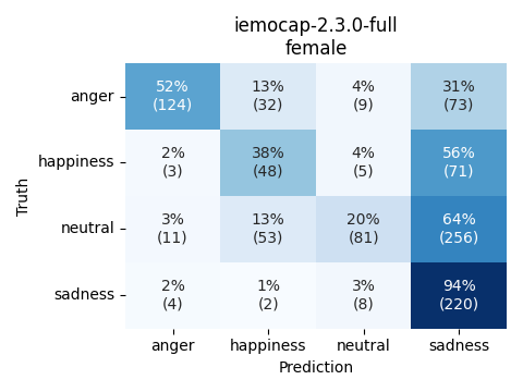 ../../../_images/visualization_iemocap-2.3.0-full_female28.png