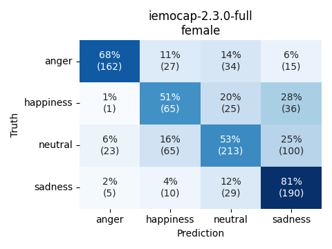 ../../../_images/visualization_iemocap-2.3.0-full_female31.png